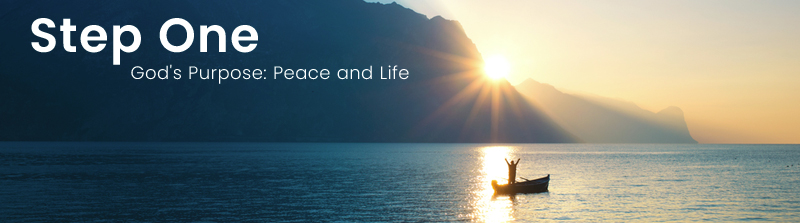 God's Purpose: Peace and Life
